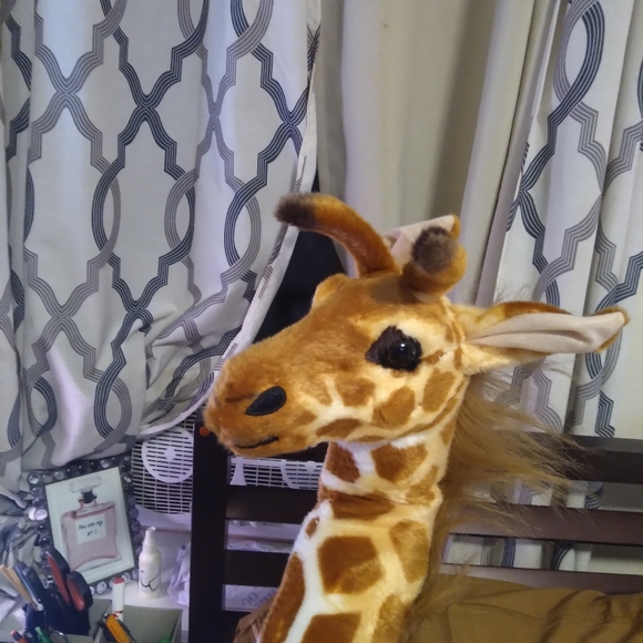 tall stuffed animal that u keep a time card of feedining. - Picture 4 of 6